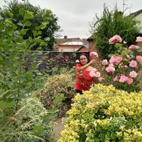 WhatsApp Image 2025-12-27 at 5.02.58 PM